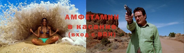 индика Сосновоборск