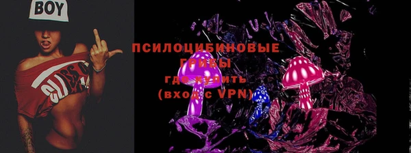 ешки Сосновка