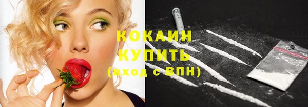индика Сосновоборск