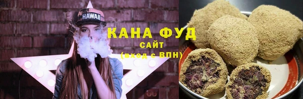 индика Сосновоборск