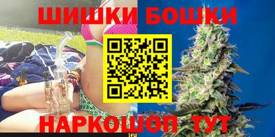 молекула духа Будённовск