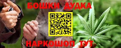 молекула духа Будённовск
