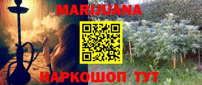 молекула духа Будённовск
