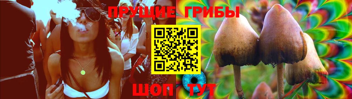 Ейск  Галлюциногенные грибы Cubensis  Псилоцибиновые грибы MAGIC MUSHROOMS  Вход с VPN 